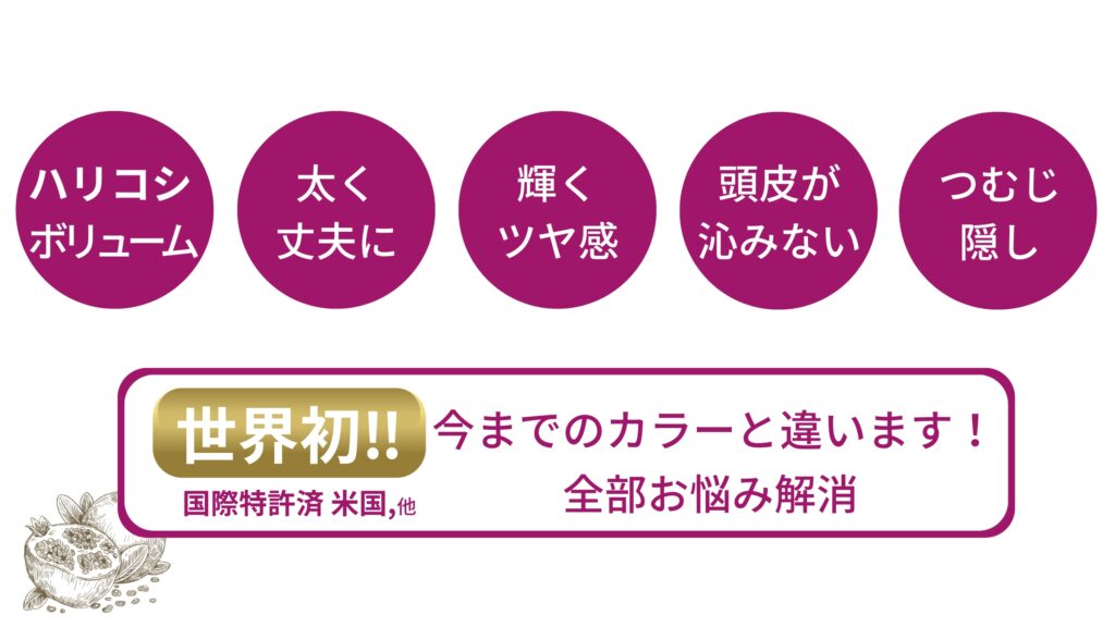 特許を取得している輝髪ペインター｜大和郡山のノンジアミンカラー｜ザクロを使用した輝髪ペインター